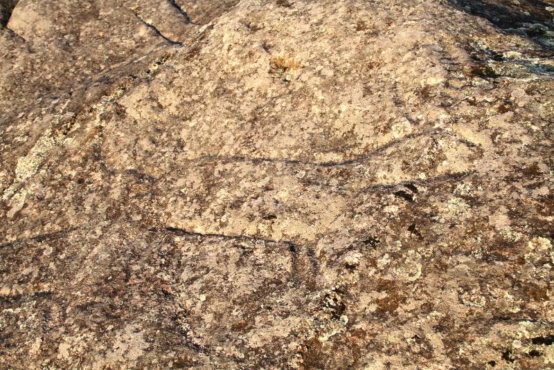 Los Petrogliflos de Bamio