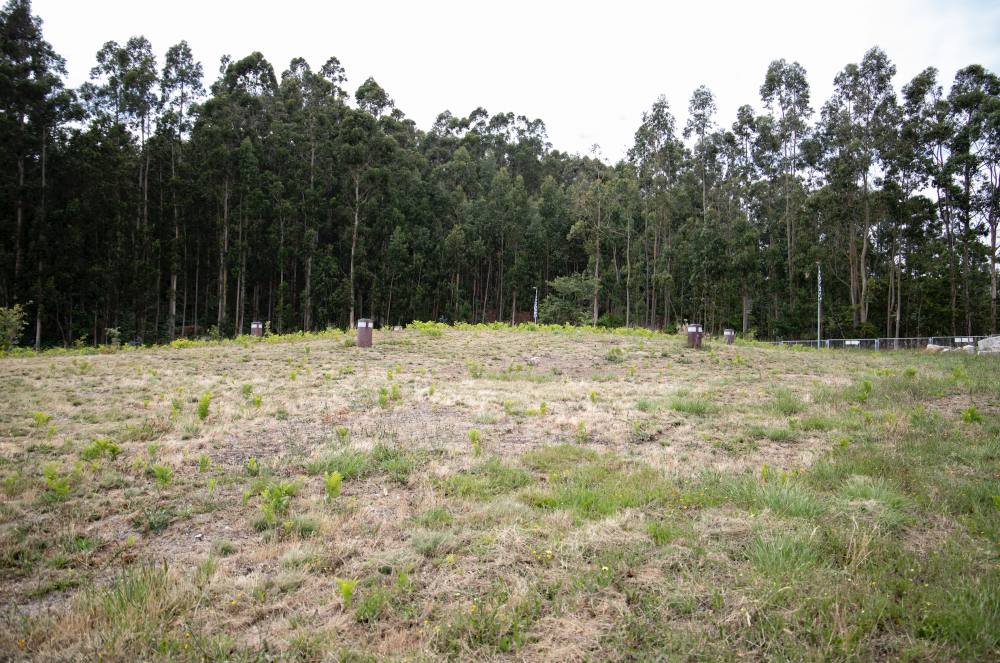 Monte de Peganuda 
